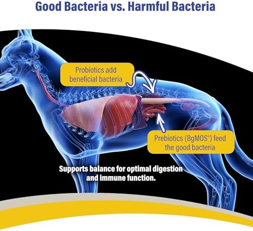 Doc Roys GI Synbiotics for Dogs and Cats, Prebiotic and Probiotic Granules, Digestive and Immune Support, Chicken Flavored, Made in USA, 454 gm