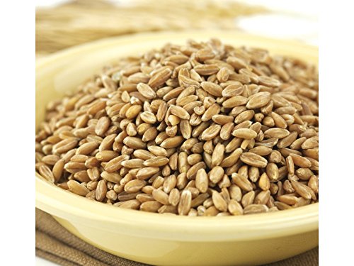 Spelt Berries 50 lbs.