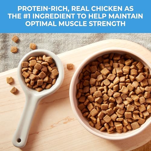 Nature's Recipe Grain Free Puppy Dry Dog Food, 4 lb. Bag