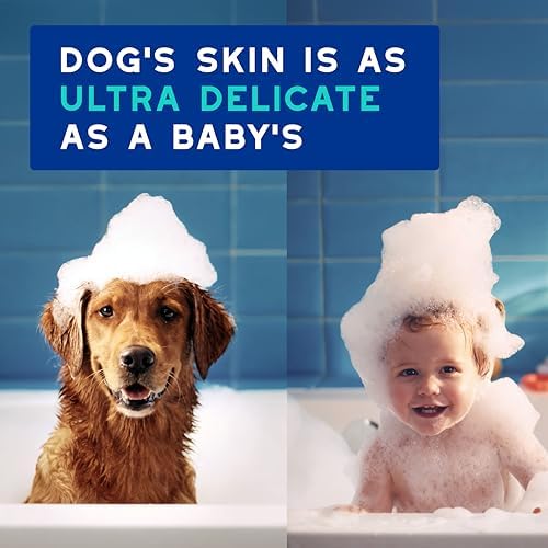 DOUXO SPA Dog Shampoo for Smelly Dogs, 16 fl oz | Hydrates the Skin, Removes Bad Odor, Leaves the Coat Soft and Smelling Great, Ultra-Safe Formula