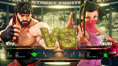 STREET FIGHTER V ARCADE EDITION Japanese Ver.
