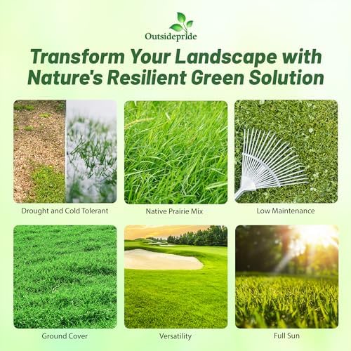 Outsidepride Xeriscape Native Prairie Grass Seed Mix – 1 lb. Perennial, Warm-Season, Cold & Drought-Tolerant, Fine Leaved, Dense Turf Grass Seeds for Lawn, Ground Cover & Arid Xeriscape Landscaping