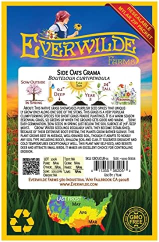 1 Lb Side-Oats Grama Native Grass Seeds - Gold Vault