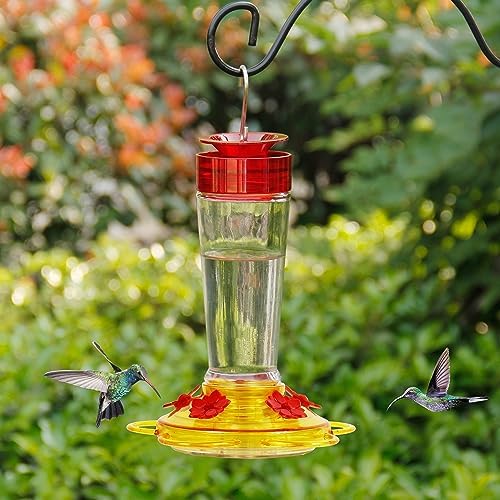 Shrdaepe Hummingbird Feeder, Glass Bottle Bird Feeders, 5 Feeding Ports, 10-Ounce Nectar Capacity