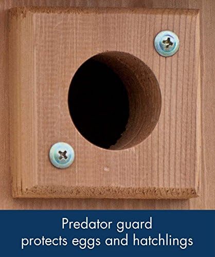 Woodlink BB3 Traditional Bluebird House