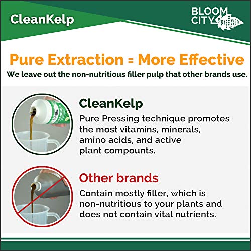 Bloom City Seaweed and Kelp Liquid Fertilizer for Plants, 32 oz | Encourages Strong Root Growth, Helps Ease Transplant Shock, Foliar Spray or Soil Drench, Indoor & Outdoor Garden Use