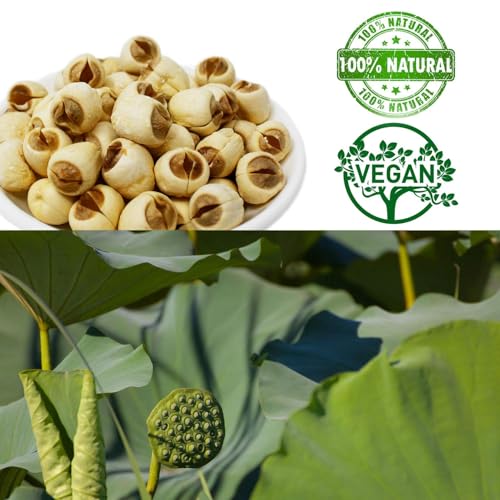 DOL Natural Dried Lotus Seeds Packed In USA 莲子干 8 Ounce, 100% Natural, Dried White Lotus Seeds Lian ZI, Rich In Methionine for Health