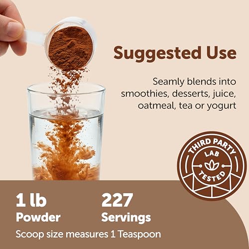 Micro Ingredients Organic Ceylon Cinnamon Powder, 2 lb Sri Lanka Source | True Cinnamon for Spice & Seasoning | Great for Baking, Cooking, & Drinks | Additive Free, Non-GMO