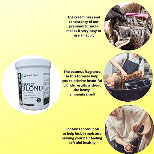 1.1 Pound Tub (17.6 Ounce) Perfect Blond Extra Strength Professional Hair Dye Toner Lightener Bleach - Made in Italy