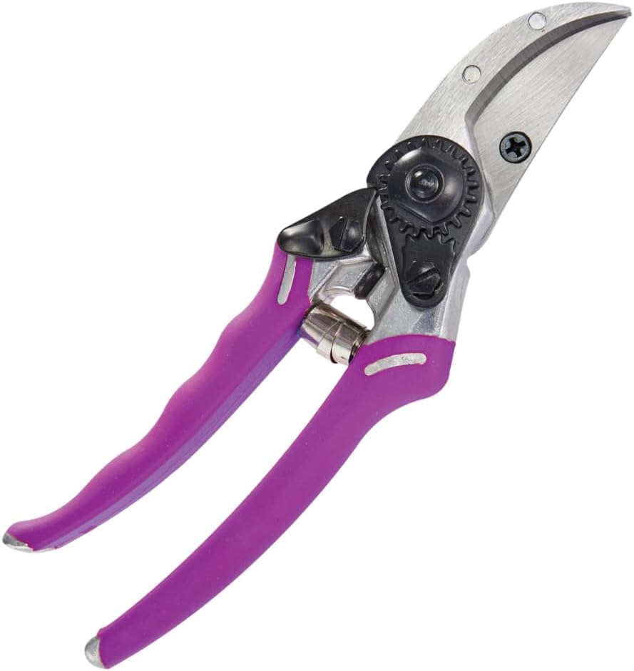 Dramm 18043 ColorPoint Bypass Pruner with Stainless Steel Blade, Yellow