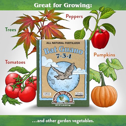 Down To Earth All Natural Fertilizers Organic Bat Guano - 7-3-1, 0.25 lb | High Nitrogen Plant Food for Rapid Vegetative Growth, Fast-Acting in Vegetable Gardens, Flower Gardens