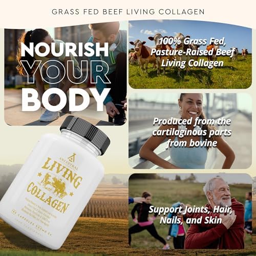 Ancestral Supplements Grass Fed Beef Living Collagen Capsules, 180 Ct | Type II collagen peptides complex in convenient capsules supports healthier