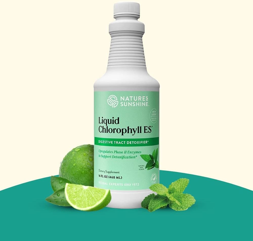 Nature's Sunshine Liquid Chlorophyll Extra Strength - Immunity Support, Detox & Cleanse, Chlorophyll Liquid Drops with Spearmint Oil, Natural Energy Boost, Internal Deodorant - 16 Fl Oz