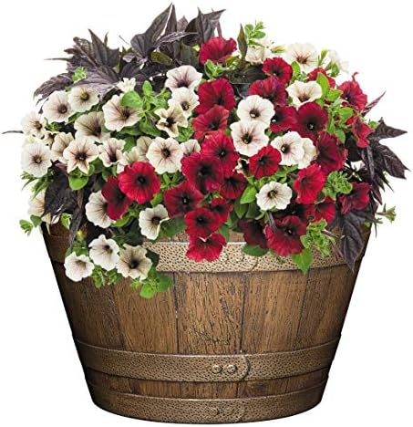 Whiskey Barrel Planter, 20.5", Distressed Oak