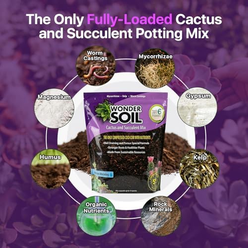 | Organic Cactus & Succulent Soil Mix (12 Quarts) | Fast Draining Living Coco Coir Loaded w/Nutrients | Ready to Plant Indoor/Outdoor Peat-Free