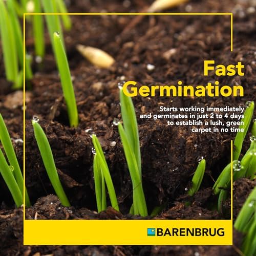 Barenbrug Wonderlawn Winter Grass Seed Mix for Lawn Care and Landscaping, 5 lbs. Bag