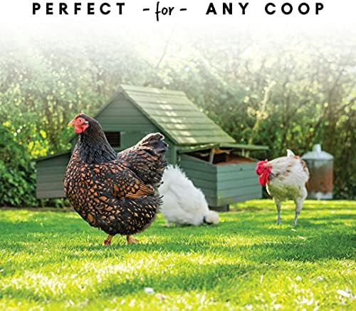 Harris Farms Hanging Poultry Feeder with Twist Lock Base, 10 lb Capacity | Feeds Up to 25 Birds, Hanging Design Helps Reduce Feed Waste