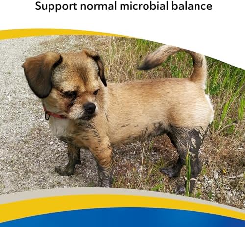 Doc Roys GI Synbiotics for Dogs and Cats, Prebiotic and Probiotic Granules, Digestive and Immune Support, Chicken Flavored, Made in USA, 454 gm