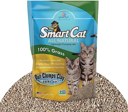 SmartCat All Natural Clumping Cat Litter, 10 Pound (160oz 1 Pack) - Alternative to Clay and Pellet Litter - Chemical and 99% Dust Free - Unscented and Lightweight