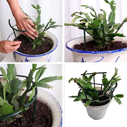 Belit 8 Pack Plant Supports for Small Plants, Garden Flowers Green Plant Support Ring, Planter Support Ring for Schlumbergera, Clivia, Succulents