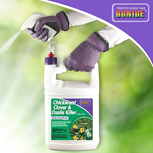 Bonide Chickweed, Clover & Oxalis Killer, 128 oz Ready-to-Use Spray | Controls Weeds & Roots Without Harming Lawn