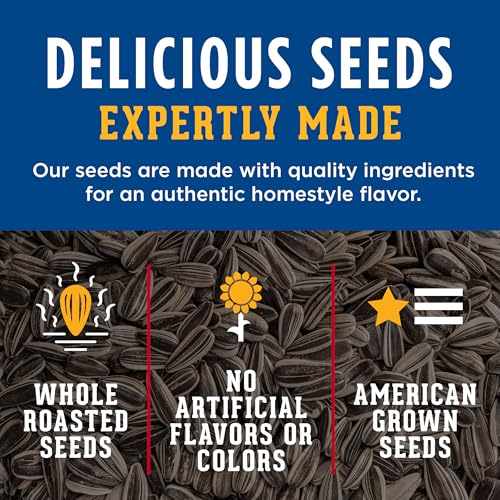 DAVID Jumbo Sunflower Seeds, Original Flavor, 16 oz.
