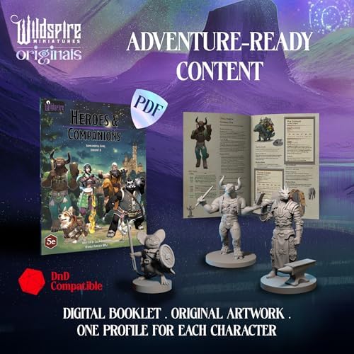 Wildspire Hero, Player-Character, NPC DND Miniatures