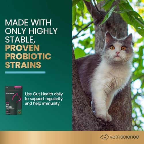 VetriScience Gut Health Chews, Probiotic Everyday Digestive Supplement for Cats, Pet Probiotics for Digestion Support, Gas and Diarrhea