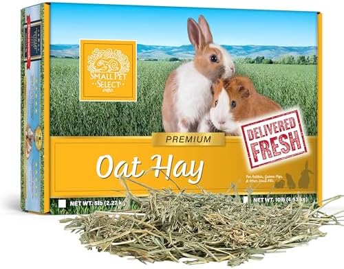 Small Pet Select Oat Hay for Rabbits, Guinea Pigs & Chinchillas, 10 lb | Natural Grass Hay with Seed Heads, High Fiber Forage, For Bunnies, Hamsters, Chinchillas & Other Small Pets