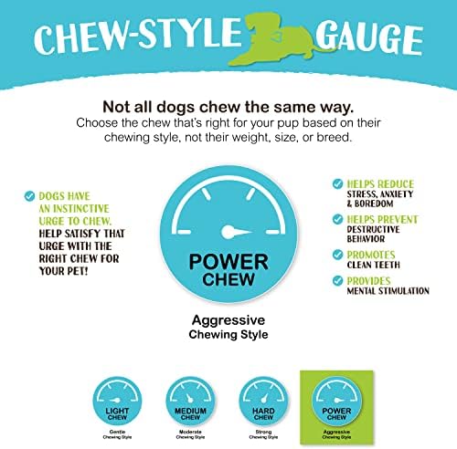 Raw Paws Smoked Beef Marrow Bones for Dogs, 5-6-Inch (4-Count) - Dog Chews