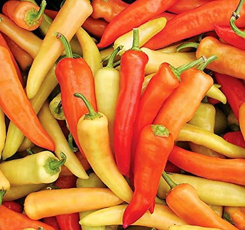 30 Hungarian Sweet Banana Wax Sweet Pepper Seeds Heirloom Non-GMO from USA | Prolific, Spicy, Delicious, Capsicum annuum