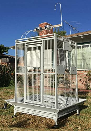 Large Double Ladders Open Play Top Wrought Iron Bird Parrot Parakeet Finch Macaw Cockatoo Cage, Include Seed Guard and Toy Hook (30.5''L x 29.5''W x 65''H, Black Vein)