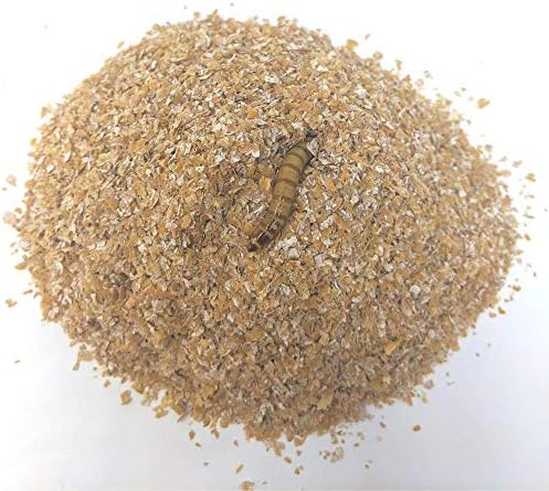 Mealworm & Superworm Bedding - Ideal Substrate for Storing Meal Worms and Super Worms - 1 Quart