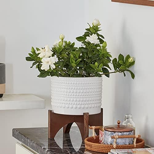 LA Jolie Muse Ceramic Pot for Plants, 8 Inch Indoor Planter with Stand