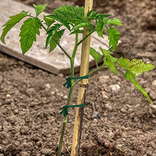 BBTO Garden Twine Soft Plant Tie Green Garden String Tree Tie Stretchy Gardening Tape Plant Support for Home Tying Climbing Plants Veggies Flower