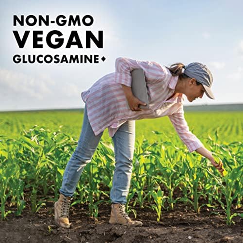 BlueBonnet Vegetarian Glucosamine Plus MSM Supplement, 120 Count ('743715011151) | Shellfish-Free Joint Support Supplement for Women & Men, Vegan