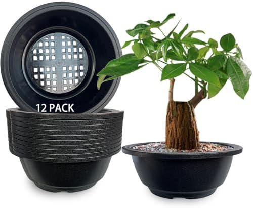 MUZHI 12PACK Matte Black Succulent Bonsai Round Planter Bowl Pot with Drainage, Plastic Cactus Flat Garden Plant Bowl Pots 6.3”