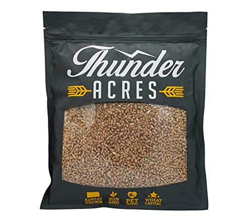 Thunder Acres Wheat Seed, Glysophate Free, Non GMO, Wheatgrass, Hard Red Winter Wheat Berries (10 lbs.)
