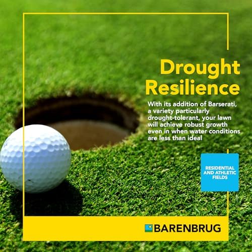 Barenbrug Turf Blue Healthy Grass Technology Grass Seed with Yellow Jacket Coating - Heavy Traffic Seed for Use on Sports Fields, Golf Courses, Parks