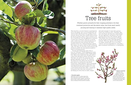 Pruning and Training, Revised New Edition: What, When, and How to Prune