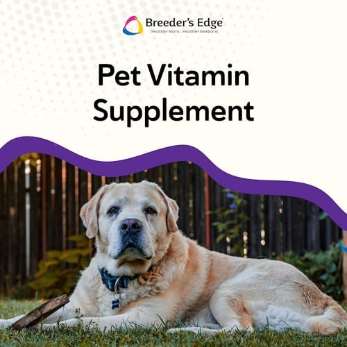 Breeder’s Edge B Strong Powder, B-Complex Vitamin Supplement for Dogs and Cats, Supports Reproductive Health, Promotes Normal Heat Cycles, and Helps Maintain Energy, 300g