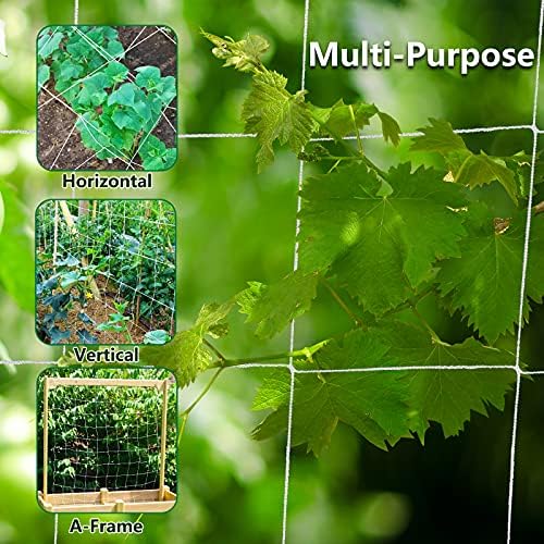Toolazy Trellis Netting 5 x 350 ft - Heavy Duty Nylon Garden Netting with 6 Inch Mesh, Soft Plant Support Net for Tomatoes, Cucumbers, Peas