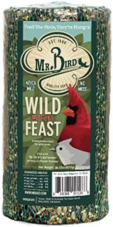 Mr. Bird WildBird Feast Cylinder, 1-Pack, 4 lbs | Wild Bird Seed for Outside Feeders | Premium Blend of Pecans, Sunflower Hearts & Millet | No Mess, No Melt