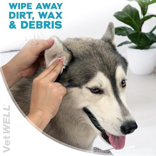 VetWELL EarWELL Dog Ear Wipes - Otic Cleaning Wipes - 100ct | Cleans and Helps Reduce Wax and Buildup in Ear Canals - Deodorizes and Freshens