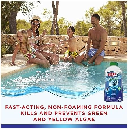 HTH 67033 Ultimate Algae Guard Swimming Pool Algaecide Cleanser, 1 qt