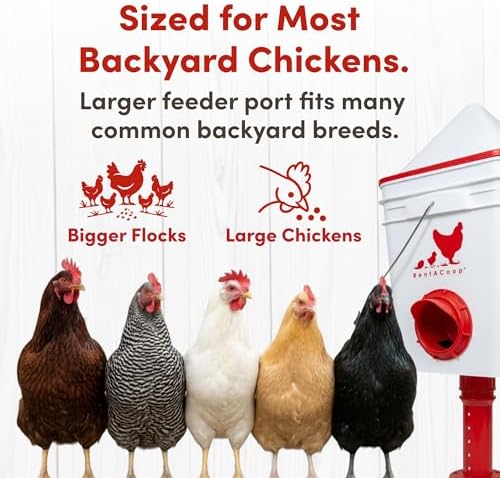 RentACoop 25lb Chicken Feeder with 4 Large Ports - Center Placement