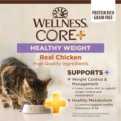 Wellness CORE+ Adult Dry Cat Food, Natural, Wholesome Grains Kibble, Digestive Health Chicken and Rice Recipe, 5 lb Bag