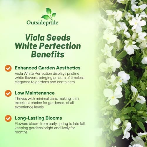 Outsidepride White Perfection Viola Pansy Seeds for Planting - 1000 Pcs. Perennial, Cold-Hardy & Pollinator Friendly Flowers with Fragrant Blooms for Garden Beds, Borders & Container Displays