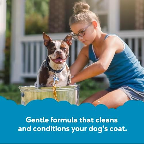 Buddy Grooming Wash 2 in 1 Dog Shampoo, Lavender & Mint, 16 oz. Bottle