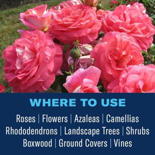BioAdvanced Disease Control for Roses